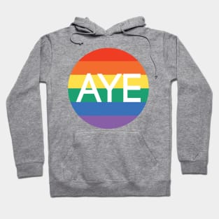 AYE, Scottish Independence Pride Flag Coloured Circle Design Hoodie